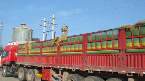 點(diǎn)擊瀏覽下一頁