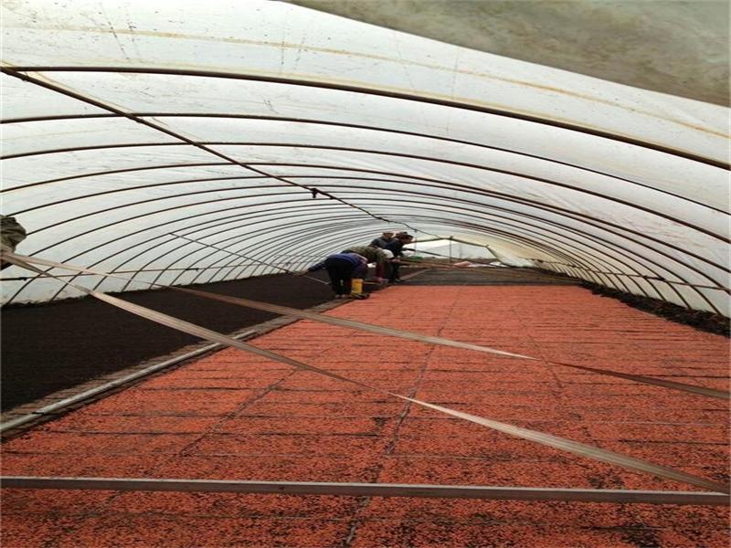 點擊瀏覽下一頁