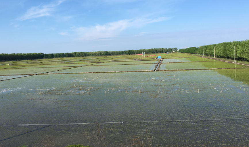 點(diǎn)擊瀏覽下一頁