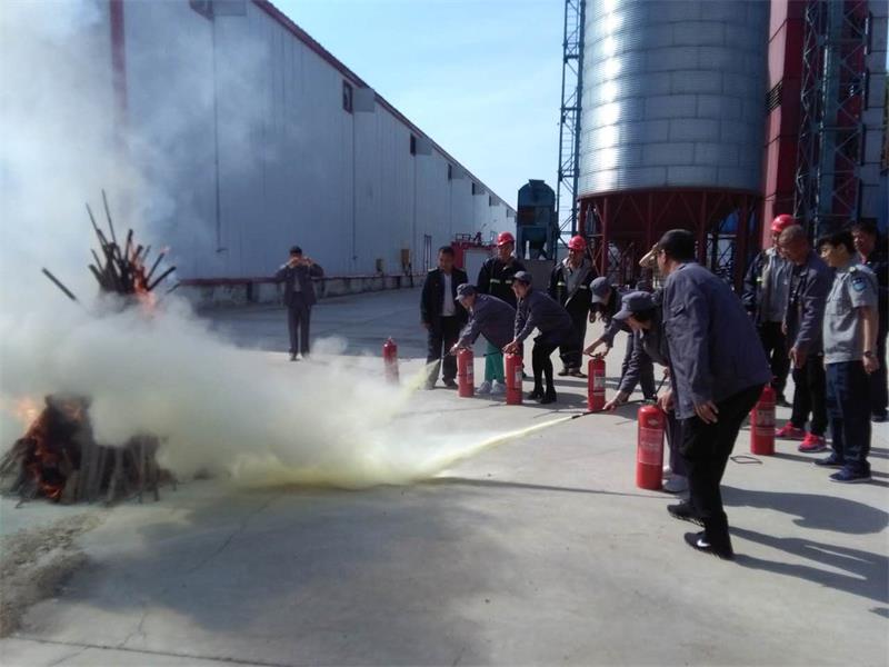 點(diǎn)擊瀏覽下一頁