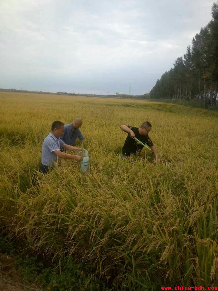 點擊瀏覽下一頁