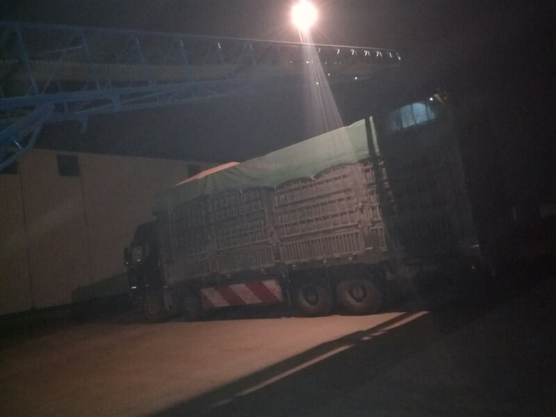 點(diǎn)擊瀏覽下一頁