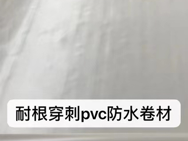 耐根穿刺pvc防水卷材.jpg